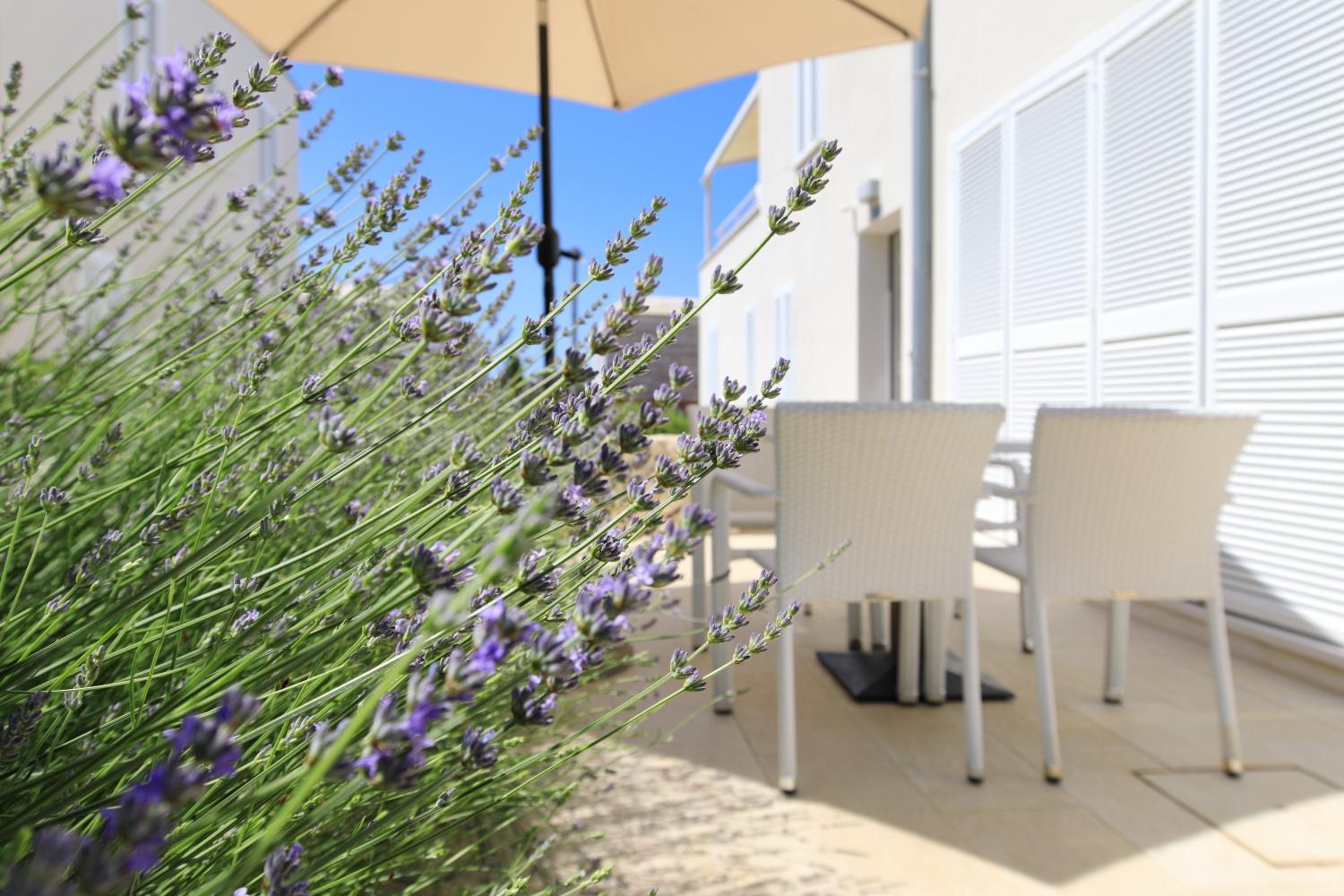 Sunnyside Apartments Resort Petrcane Exterior foto